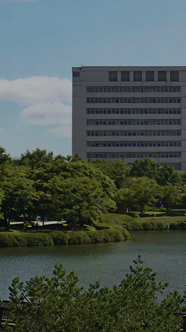 ���ν����̵�1